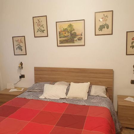Casa Vacanze Alice E Arianna 카이로 몬테노테 외부 사진
